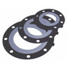 ASAHI 3113012 FLANGE GASKETING; NOMINAL PIPE SIZE: 1-1