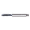 WALTER PROTOTYP 202161-M1.2 SPIRAL POINT TAP M1.2X0.25 HSS