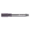 WALTER PROTOTYP 8136417-M10X1 STRAIGHT FLUTE TAP M10X1 CARBIDE