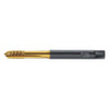 WALTER PROTOTYP S2021305-M2.5 SPIRAL POINT TAP M2.5X0.45 HSS