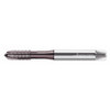 WALTER PROTOTYP EP2021382-M3 SPIRAL POINT TAP M3X0.5 HSS