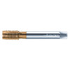 WALTER PROTOTYP P2036005-M24 SPIRAL POINT TAP M24X3 HSS