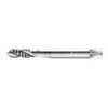 WALTER PROTOTYP N20536-M2.5 SPIRAL FLUTE TAP M2.5X0.45 HSS