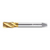 WALTER PROTOTYP M2456305-G3/8 PIPE/CONDUIT THREAD TAP 3/8 -19 HSS
