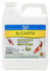 MARS FISHCARE NORTH AMERICA 169G ALGAEFIX ALGAE CONTROL SOLUTION, 32-OZ.