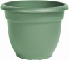 BLOEM LLC 20-56408 PLANTER LIVING GREEN 8IN      