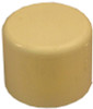NIBCO T00220D CAP CPVC 3/4 IN