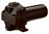 PENTAIR CASH VALVE 219903 SPRINKLER PUMP, CAST IRON, 2-HP