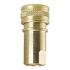FOSTER H1B BRASS SOCKET,1/8"X1/8"FPT