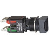 SCHNEIDER ELECTRIC XB6CA25B PUSH BUTTON 16MM MOMENTARY