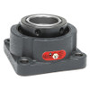 MOLINE BEARING 19111200 FLANGE MOUNT BEARING,5 1/4 IN H OVERALL