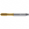 WALTER PROTOTYP 7427654 THREAD FORMING TAP 3/8 -24 COBALT