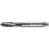 WALTER PROTOTYP 5079754 M4X0.70 METRIC 3 FLUTE 6H MODIFIED BOTTO