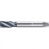 WALTER PROTOTYP 6149804 M6X1.00 METRIC 3 FLUTE 6HX MODIFIED BOTT