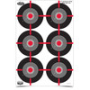 BIRCHWOOD CASEY BC-35705 DIRTY BIRD 12 X 18 MULTIPLE BULL'S-EYE T