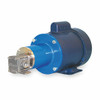 CHEMSTEEL RM10316CWM1-F50 GEAR PUMP MAGNETIC DRIVE 1/3HP 1 PHASE