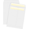 BUSINESS SOURCE 04649 PRESS/SEAL CATALOG ENVELOPES,100/BX