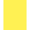 PACON CORPORATION 102200 MULTIPURPOSE PAPER, 24 LB., 8 1/2"X11"