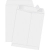 QUALITY PARK 44834 CATALOG ENVELOPE,WHITE,100/BOX