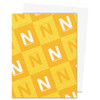 NEENAH PAPER B742 NEENAH PAPER INC  PREMIUM PAPE, 24LB, 91