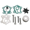 NAPA SMALL ENGINE 183425 WATER PUMP KIT