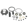 NAPA SMALL ENGINE 182629 LOWER UNIT SEAL KIT