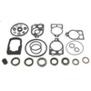 NAPA SMALL ENGINE 182653 SEAL KIT