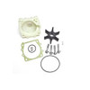 NAPA SMALL ENGINE 1835231 WTR PUMP KIT