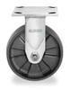 ALBION 05HE05201RG RIGID PLATE CASTER 1000 LB 5 IN DIA