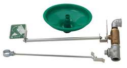 HAWS 8111FP EMERGENCY SHOWER FREEZE RESISTANT 20 GPM