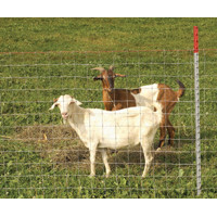 KEYSTONE WIRE 70315 FENCE SHP/GOAT 12.5GA 48X330FT