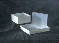 DYNALON 109874 LABORATORY TRAY 3X17.5X15.5 HDPE