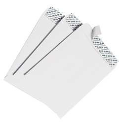 QUALITY PARK QUA44682 CATALOG ENVLPES,9-1/2" H,12-1/2" W,PK100