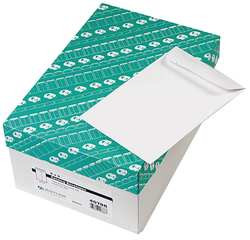 QUALITY PARK QUA40788 CATALOG ENVELOPE WHITE PAPER PK500
