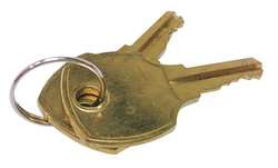 TRUE CO 831306 DOOR KEY,TRUE GDM AND T SERIES,PK2