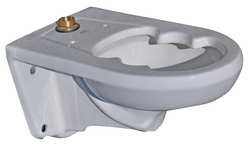 AMERICAN STANDARD 2296019EC.020 BEDPANHOLDINGTOILETBOWL,ELONGATED,WALL
