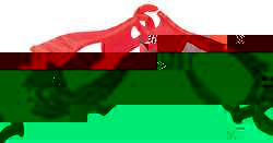 ERGODYNE 3400-29WP12 E5404 GLOVE CLIP RED 6-1/2 IN.