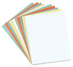 MAGNA VISUAL DC-20W DATA CARDS,FULL SHEET,WHITE,PK10