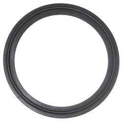 SANI-LOCK G-TH-100-V-2 THERMOCOUPLE GASKET 1 IN VITON