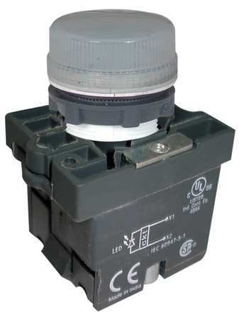 DAYTON 30G216 PILOT LIGHT 22MM LED WHITE