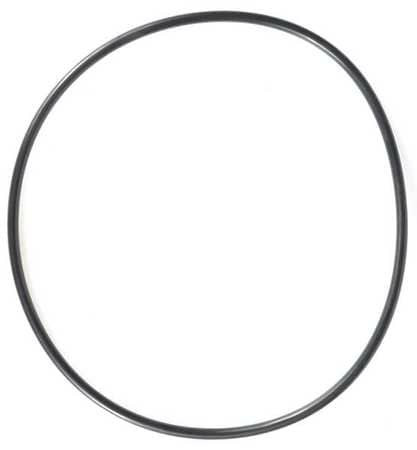 DAYTON PPT2P523G O-RING PK2