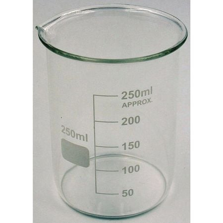 LAB SAFETY SUPPLY 5YGZ2 BEAKER LOW FORM GLASS 250ML PK12
