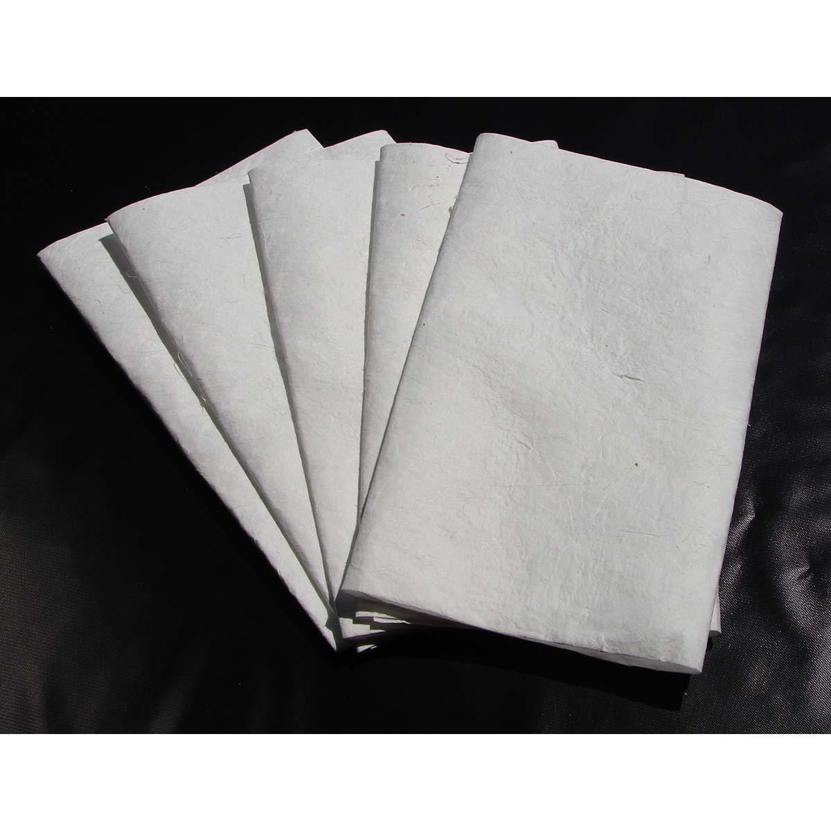 JUSTRITE MFG COMPANY 28461 PACK OF (5) 1.75 GAL CAPACITY PER PACKAG