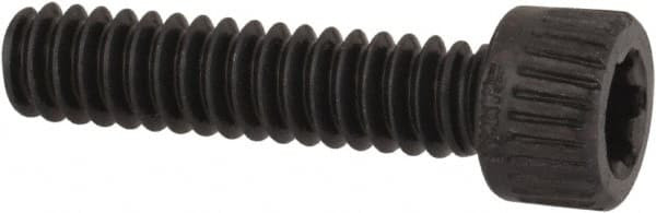 CAMCAR 30054 TORX SHCS ALLOY STEEL