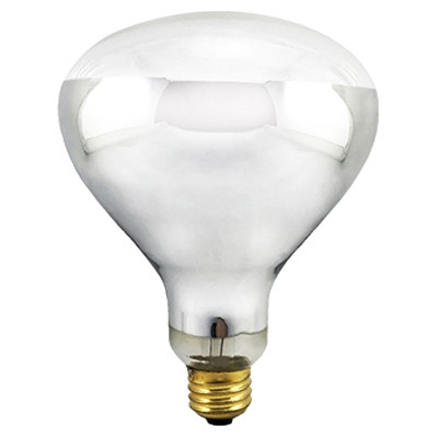 CACO ABBO INTERNATIONAL, S.A. E32828 HEAT LAMP, FLOOD BEAM, DIMMABLE, R40, CL