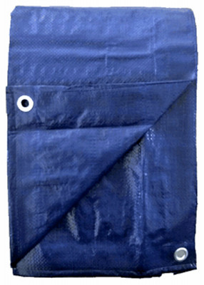 KAPS TEX CO LTD KT-MT2030B POLYETHYLENE STORAGE TARP, BLUE, 20 X 30