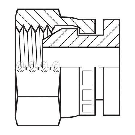 ADAPT-ALL 9033-02 HOSE ADAPTER,1/8",BSPP