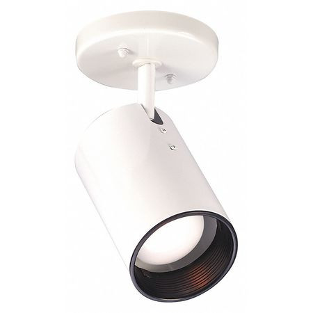 NUVO SF76-412 FLUSH FIXTURE 1L R20 STR CYLINDER WHITE
