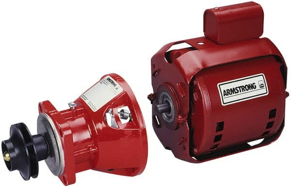 ARMSTRONG PUMPS INC. 816141-002 PUMP MOTOR, 1/3 HP, 115V AC