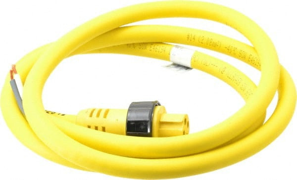 BRAD HARRISON 32638 15 AMP, FEMALE STRAIGHT TO PIGTAIL CORDS